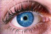 Stem cells stop blindness in mice