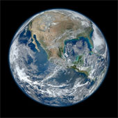 Stink ever dominated the earth