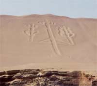 Stone marks on the desert