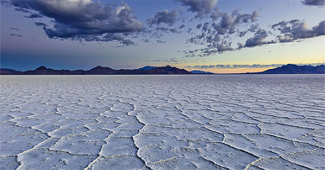 Stone moves, demon fish and little things in Death Valley