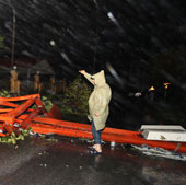 Storm No. 8 weakens into a tropical depression