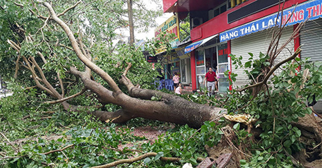 Storm swept over 3 hours in Nghe An - Ha Tinh