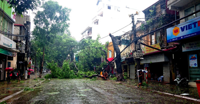 Storms and tropical depressions will appear continuously this year