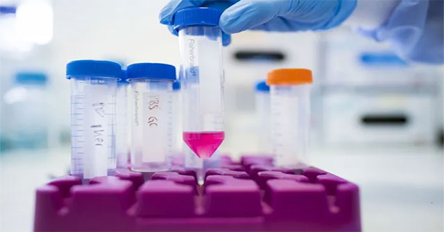 Strains of flesh-eating bacteria combine to cause a deadly infection
