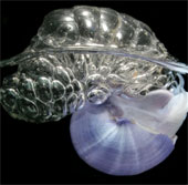 Strange ability of snails