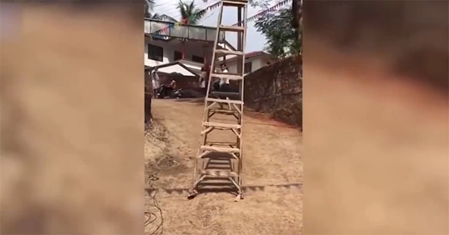 Strange about the phenomenon of 'street walkers' in India