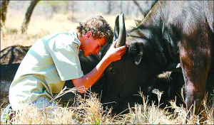 Strange boy 'understands cow'