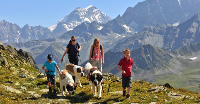 Strange but reasonable laws in Switzerland