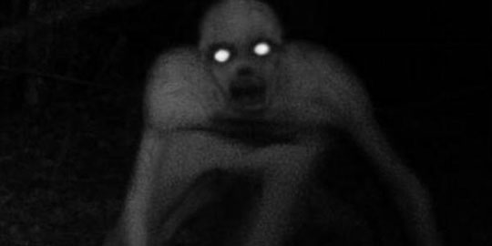 Strange creatures like 'spiders' appear in America