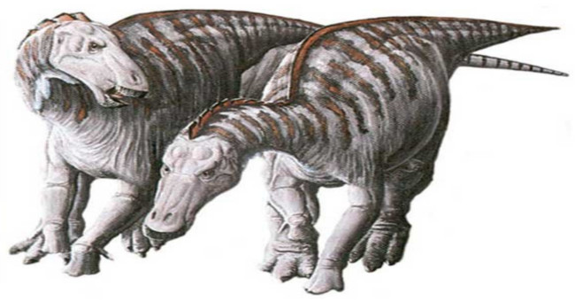 Strange duck-fossil dinosaur fossils with tumors on the face
