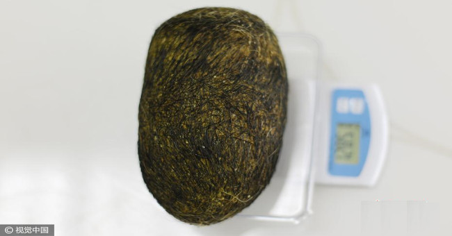 Strange eggs in the belly of a pig are worth a million dollars