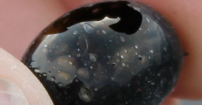 Strange eggs spew out from the Hawaii crater