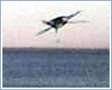 Strange flying objects in Argentina