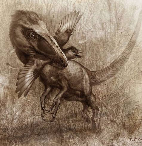 Strange fossil inside dinosaur belly