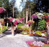 Strange garden upside down in America