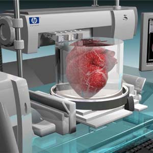 Strange: Human kidney printing machine