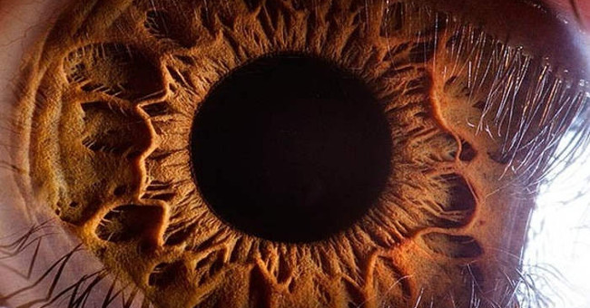 Strange images of ordinary objects are viewed through a microscope