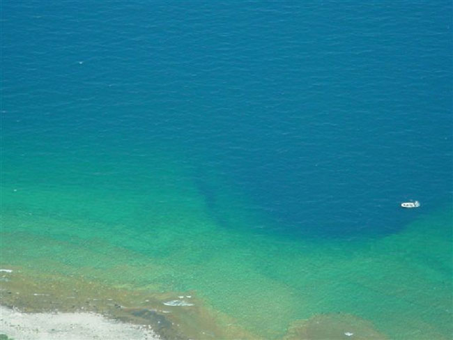 Strange life form in the Great Lakes
