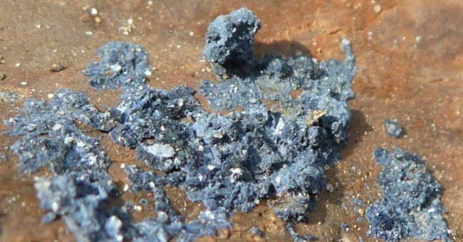 Strange minerals form on the remains and make the bones green