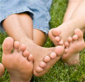 Strange: Poisonous mosquitoes addicted to rotten foot odor