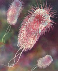 Strange 'resistance' of earth bacteria