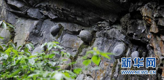 Strange rock knows 'spawn'