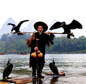 Strange sight of fishermen by ... cormorants