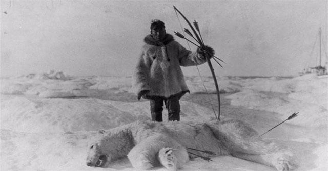 Strange story in Antarctica, eating animal liver can lead to death