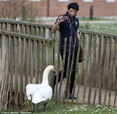 Strange swans caught the 'disease' racism?
