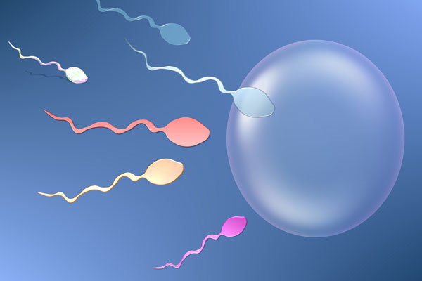 Strange swimming patterns of sperm