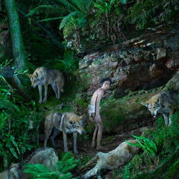 Strange tragedy of children living with wild animals