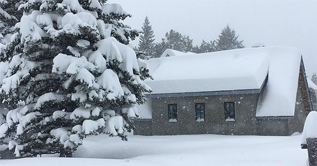 Strange weather phenomenon: Part of the United States is paralyzed because of ice and snow in early autumn