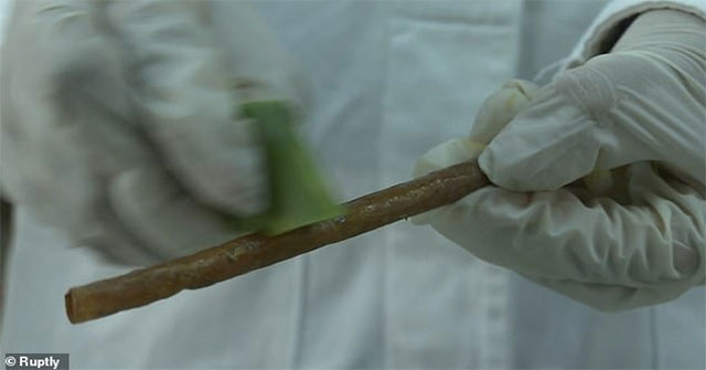 Straws made from mango peelings are biodegradable