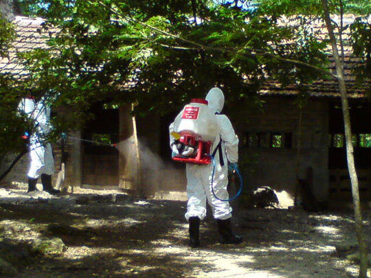 Strengthen prevention and control of avian influenza