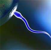Stress causes genetic changes