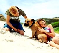 Stroking helps pets relax