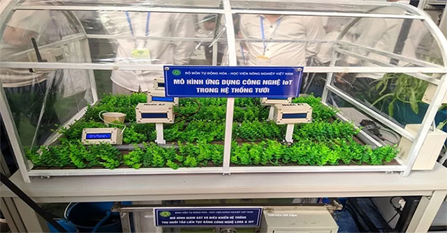 Students design an automatic watering system when plants 'thirst' for water