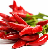 Study chili to find a way to treat migraine