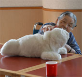 Study the benefits of pet robot in treating dementia