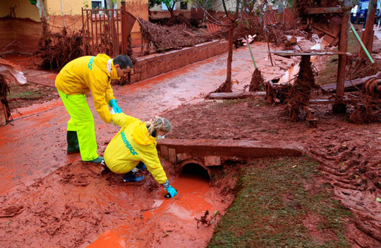 Study to treat bauxite red mud into planting soil