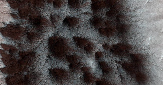 Stunned to find giant spiders on Mars?