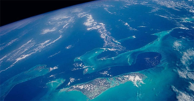 Stunned with a new announcement about alien life signs
