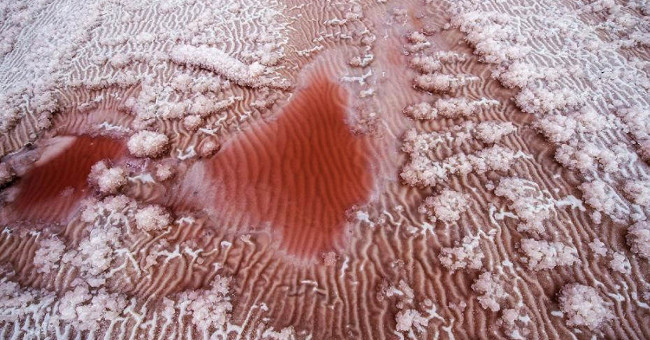 Stunned with the impressive beauty of 'pink desert' in China