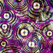 Stunning images that you don't know of familiar wines