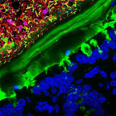 Stunning works under the microscope's perspective