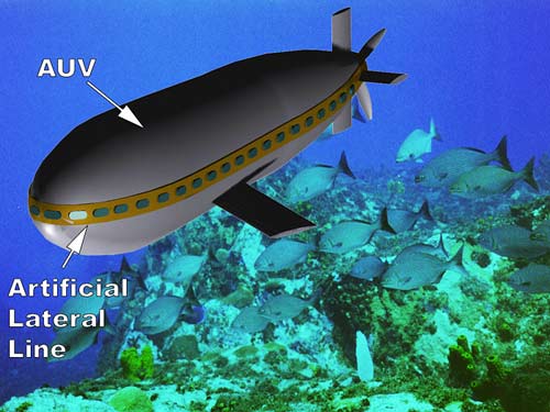 Submarine-type fish