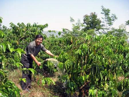 Subtract diseases on coffee with probiotics