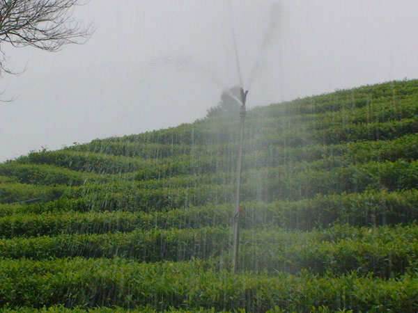 Successful application of tea sprinkler model with rotary valve