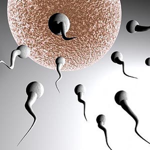 Successful breeding of sperm in vitro