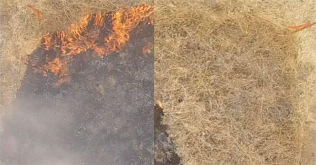 Successful fabrication of the gel can prevent forest fires